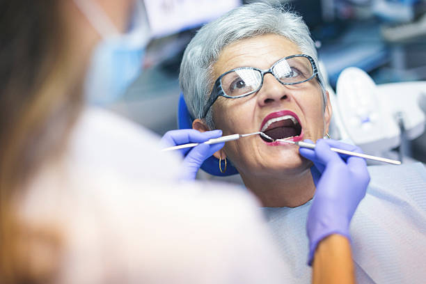 Professional Dental Services in New Port Richey, FL